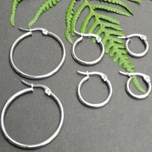 Silver Clip Earrings