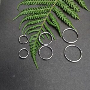 Silver Sliders Earrings